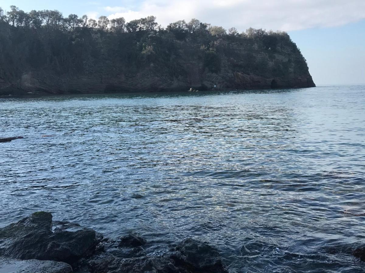 La Cantina dello Sgatto Procida Esterno foto